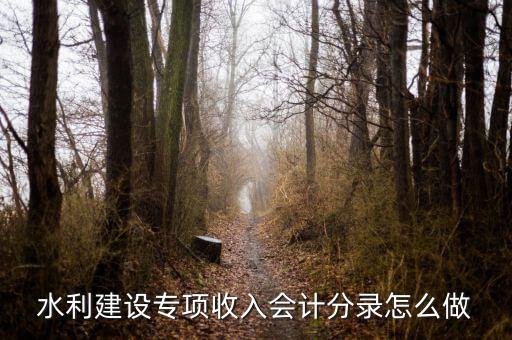 水利建設(shè)專項(xiàng)收入會計(jì)分錄怎么做