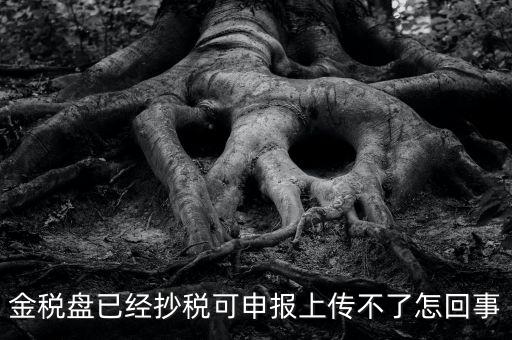 金稅盤(pán)已經(jīng)抄稅可申報(bào)上傳不了怎回事