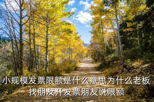 發(fā)票機為什么限額，稅控機顯示發(fā)票超出累計限額是什么原因