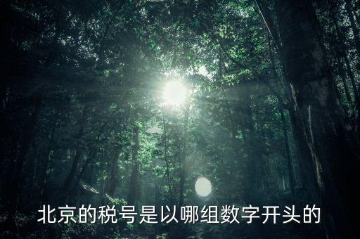 北京的稅號(hào)是以哪組數(shù)字開頭的