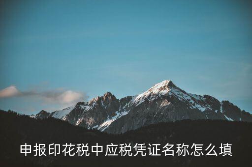 印花稅應(yīng)稅憑證名稱是什么，申報印花稅中應(yīng)稅憑證名稱怎么填