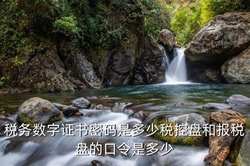 國稅開票軟件的稅務(wù)證書密碼是什么，稅務(wù)數(shù)字證書密碼是多少稅控盤和報稅盤的口令是多少