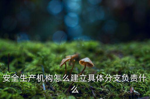 什么是三級(jí)分支機(jī)構(gòu)，英語三級(jí)發(fā)證機(jī)構(gòu)是什么