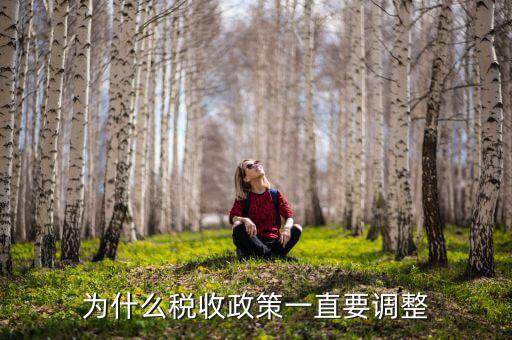 為什么進(jìn)行納稅調(diào)整，我國為什么要進(jìn)行個人所得稅調(diào)整高中政治