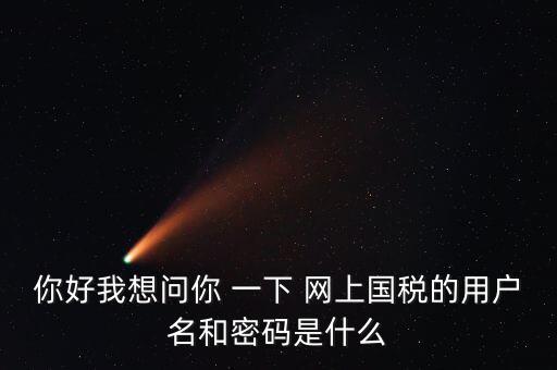 稅務(wù)登記密碼是什么，國稅第一次網(wǎng)上申報的登陸密碼是什么