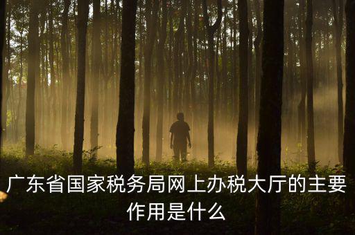 廣東省國家稅務局網上辦稅大廳的主要作用是什么
