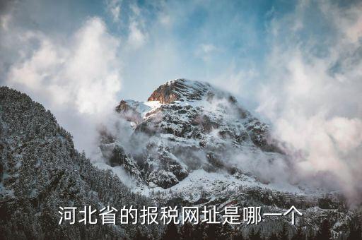 河北稅務(wù)官網(wǎng)是什么，怎么打開河北省國(guó)稅網(wǎng)站