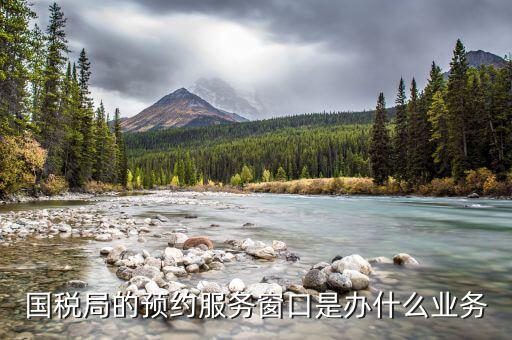 國稅預約服務什么意思，個人預約辦稅網上預約要去稅務局嗎