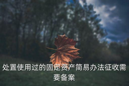 處置使用過(guò)的固定資產(chǎn)簡(jiǎn)易辦法征收需要備案