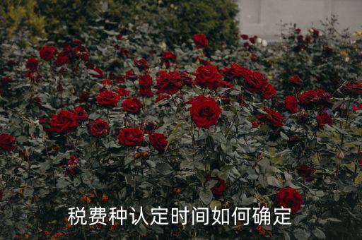 稅種認(rèn)定后什么時間申報，稅務(wù)局變更稅費(fèi)種認(rèn)定變更后多久可以可以報稅