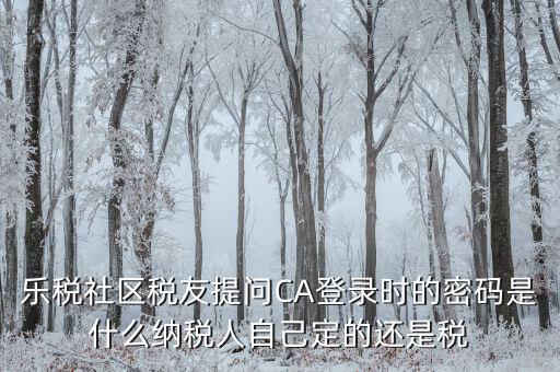 什么是國稅ca密碼，樂稅社區(qū)稅友提問CA登錄時的密碼是什么納稅人自己定的還是稅