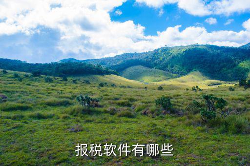 四川報稅軟件叫什么名字，網(wǎng)上報稅的那個軟件叫什么呀
