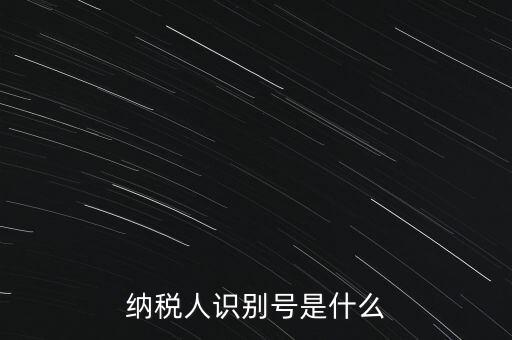 山西國稅納稅人識別號是什么，納稅人識別號是什么