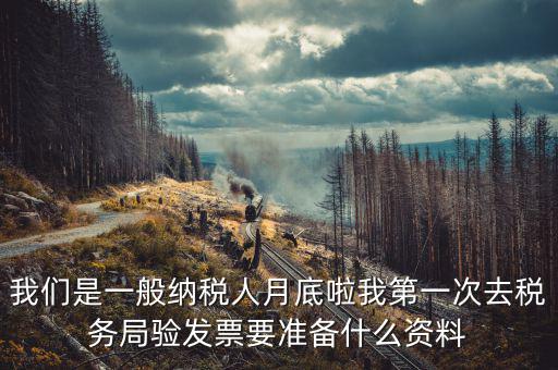 我們是一般納稅人月底啦我第一次去稅務(wù)局驗發(fā)票要準備什么資料