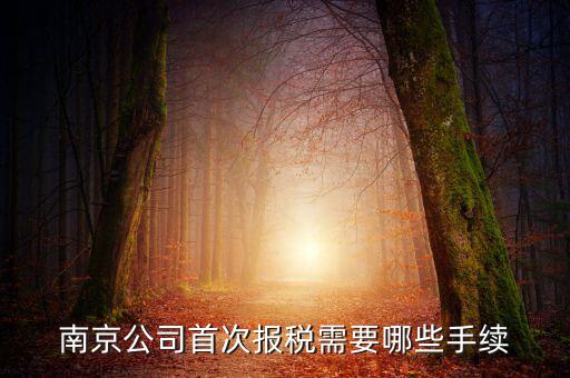 南京什么公司在地稅局交稅，哪些稅在國稅局交哪些在地稅局交