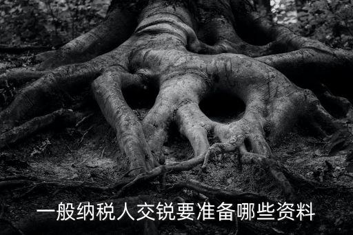 交稅需要什么資料，一般納稅人交銳要準(zhǔn)備哪些資料