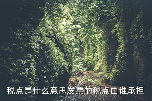 稅點(diǎn)由什么決定，稅點(diǎn)是什么意思