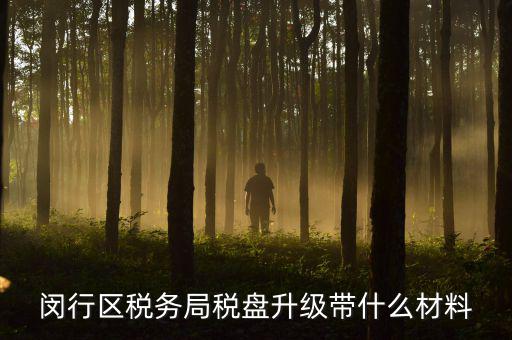 去升級(jí)稅控盤要帶什么，去國稅稅控盤升級(jí)需要帶哪些材料
