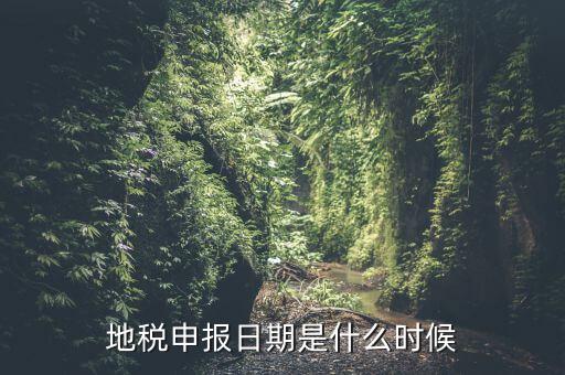 地稅清稅報告時間是什么原因，每月稅務申報時間什么時候