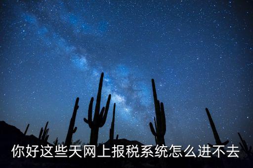 為什么個(gè)稅系統(tǒng)打不開，你好這些天網(wǎng)上報(bào)稅系統(tǒng)怎么進(jìn)不去