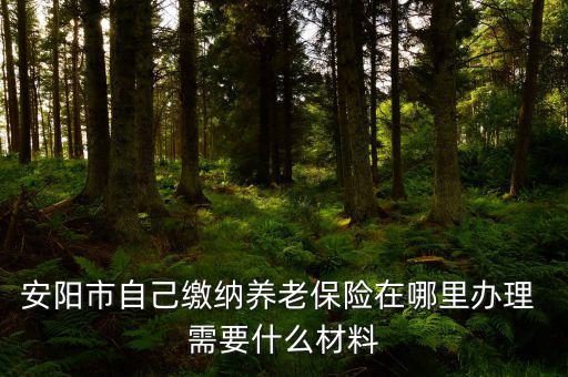 安陽地稅局交個人保險在什么地方，安陽市醫(yī)保交費在哪里地稅局