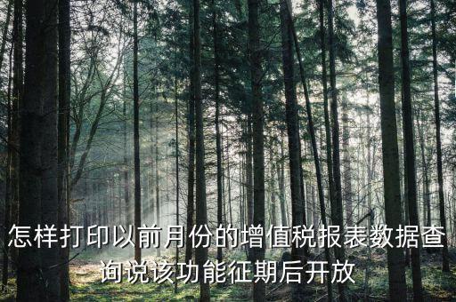 46月份征期是什么意思，怎樣打印以前月份的增值稅報表數(shù)據(jù)查詢說該功能征期后開放