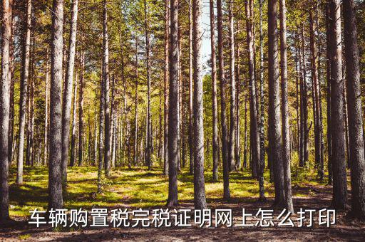 什么是購置稅完稅證明，車輛購置稅完稅證明是什么它在二手車交易中起什么作用