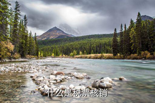國(guó)稅局核銷是什么意思，增值稅專用發(fā)票核銷是什么意思