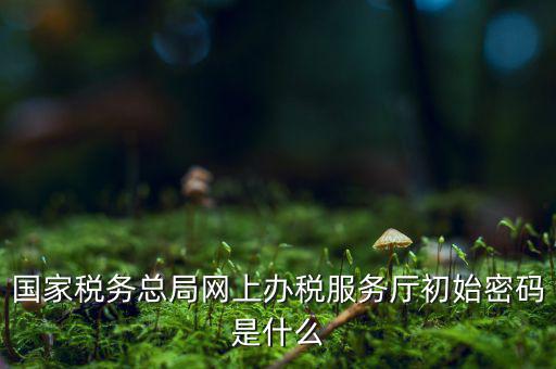 安徽個(gè)稅申報(bào)密碼是什么意思，國(guó)家稅務(wù)總局網(wǎng)上辦稅服務(wù)廳初始密碼是什么