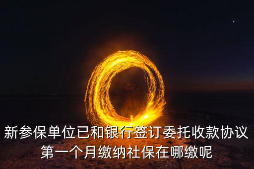 什么時(shí)候辦理授權(quán)劃繳協(xié)議，如何取得委托銀行劃轉(zhuǎn)地方稅費(fèi)授權(quán)書協(xié)議書去銀行還是去地稅