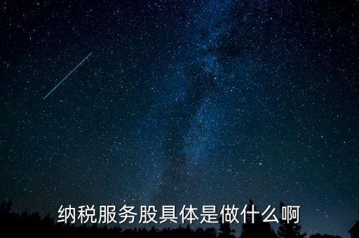納稅服務股是什么意思，納稅服務股具體是做什么啊