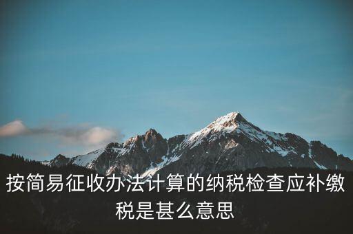 簡易征收什么意思，按簡易征收辦法計(jì)算的納稅檢查應(yīng)補(bǔ)繳稅是甚么意思