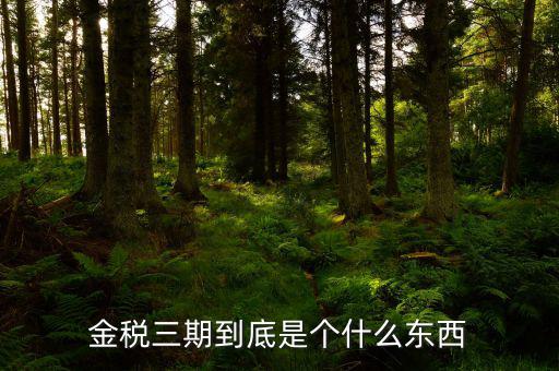 金三上線是什么意思，什么是稅務(wù)金山系統(tǒng)
