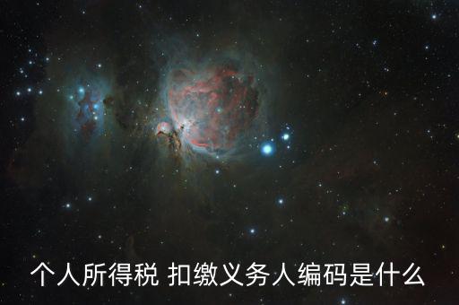 個稅稅種代碼是什么，個人所得稅編碼是多少怎樣填寫