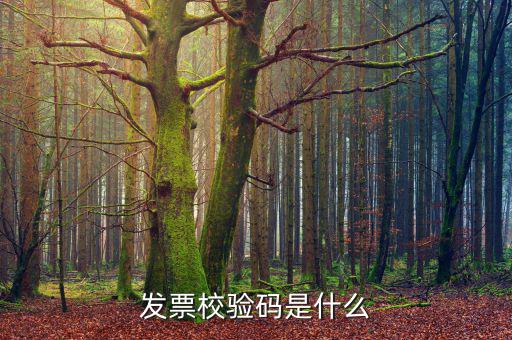電子發(fā)票 查詢(xún)的驗(yàn)證碼是什么，發(fā)票校驗(yàn)碼是什么