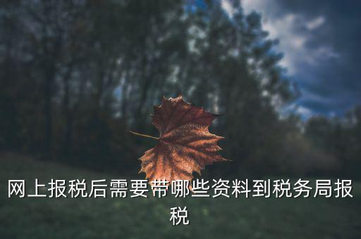 網(wǎng)上報(bào)稅需要什么資料，網(wǎng)上報(bào)稅后需要帶哪些資料到稅務(wù)局報(bào)稅