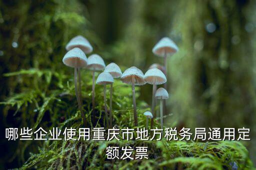 定額發(fā)票什么行業(yè)，哪些企業(yè)能買(mǎi)手撕定額發(fā)票小規(guī)模生產(chǎn)企業(yè)已經(jīng)開(kāi)了普通發(fā)票能買(mǎi)