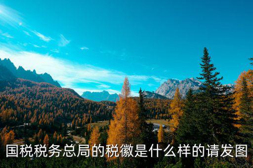 國稅稅務總局的稅徽是什么樣的請發(fā)圖