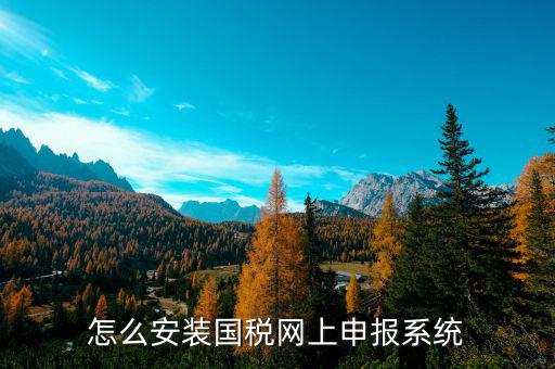 河南鄭州國(guó)稅申報(bào)用什么平臺(tái)，怎么安裝國(guó)稅網(wǎng)上申報(bào)系統(tǒng)