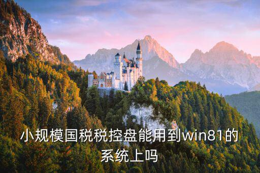 稅盤安裝支持什么系統(tǒng)下載，稅控發(fā)票開票軟件v2130170612能在win10上安裝嗎