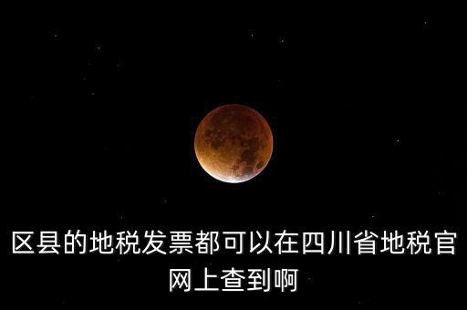 四川省網(wǎng)上稅務(wù)局用什么服務(wù)器，區(qū)縣的地稅發(fā)票都可以在四川省地稅官網(wǎng)上查到啊