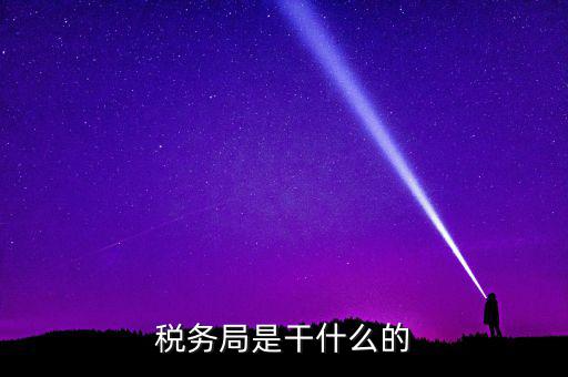 稅務局是干什么的