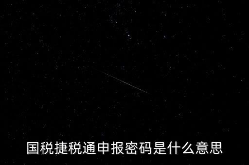 稅務(wù)軟件申報密碼是什么意思，納稅申報密碼是什么