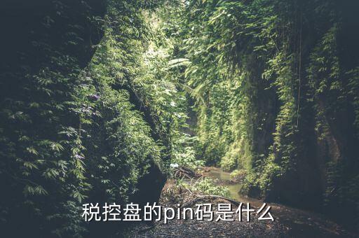 報(bào)稅pin口令是什么，稅控盤(pán)的pin碼是什么