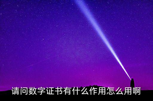 請(qǐng)問(wèn)數(shù)字證書(shū)有什么作用怎么用啊