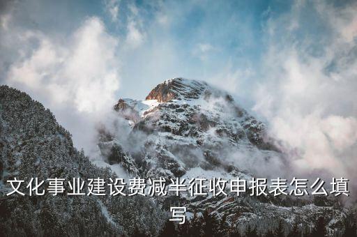 什么叫文化事業(yè)建設(shè)費(fèi)申報表，文化事業(yè)建設(shè)費(fèi)申報表怎么填