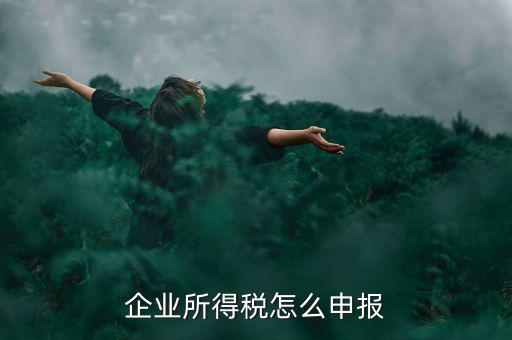 扣繳企業(yè)所得稅申報(bào)是什么，企業(yè)所得稅申報(bào)是怎樣的