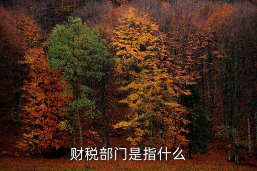 財稅征收保障網(wǎng)是什么，財稅部門是指什么