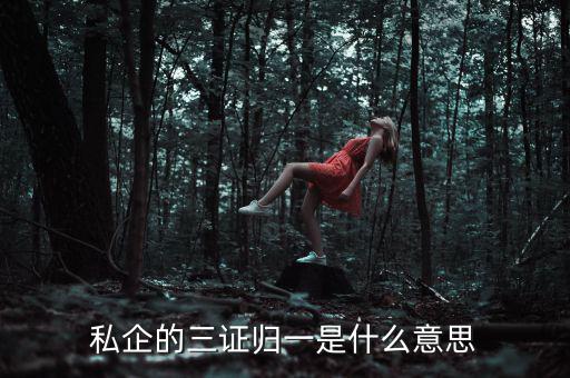 公司的三證合一是什么，什么是三證合一