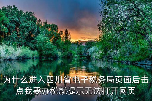 為什么進入四川省電子稅務局頁面后擊點我要辦稅就提示無法打開網(wǎng)頁